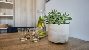 Charming holiday home | Next to the beach | Pets are welcome - Image 4