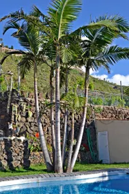 Dedicated room with pool | Close to the beach - Image 3