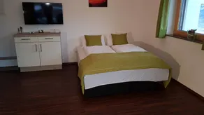 Family-oriented nice holiday apartment with terrace | Pets are welcome - Image 2