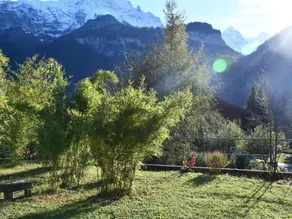 Fully equipped charming house with garden & terrace | Nature view | Close to the ski - Image 3