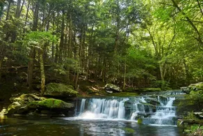 Secluded Glamping Tent with Trout Stream Near Great Northern Catskills in Elka Park, New York - Image 5