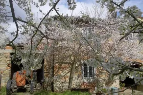 Podere la Casellina - un vero agriturismo familiare: Camera matrimoniale/tripla/quadrupla con colazione - Image 3