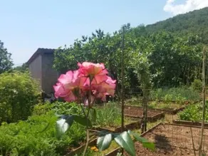 Appartamento con terrazza, barbecue e giardino - Image 3