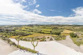Child-friendly farm with BBQ, terrace & garden | Garden view | Perfect for remote work | Pets allowed - Image 3