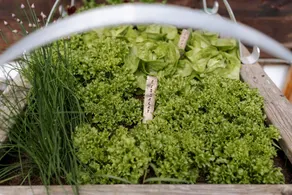 Appartamento con terrazza, sauna e giardino - Image 4