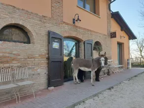 Guardastelle: CAMERA CELESTINO - Image 5