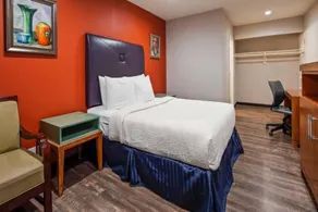 1 Queen Bed  Mob Acc RI Shwr Nsmk Micfridg - Image 5