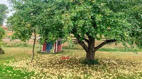 Pleasant house with garden | Pet-friendly - Image 5