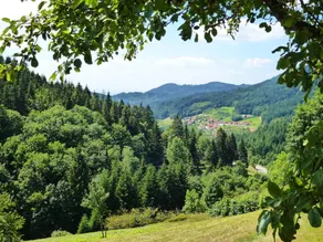 Seegerhaus Comfortable Holiday Residence - Image 2