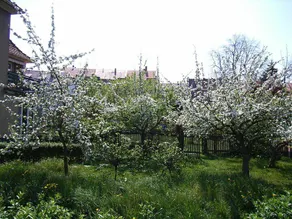 Holiday apartment with barbecue & garden - Image 5