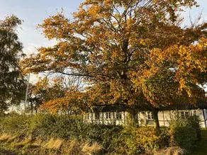 Children-friendly holiday home with terrace, barbecue & garden | Perfect for remote work | Pet-friendly - Image 3