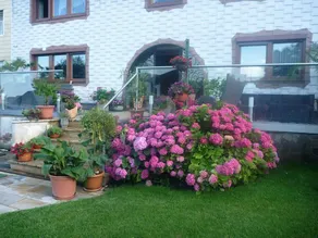 Camera privata con piscina - Image 3