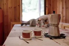 Holiday apartment with garden | Mountain view | Good for workation | Pets are welcome - Image 5