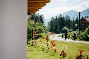Spacious, luxurious chalets with a sauna and 2 bedrooms for 4 persons - Image 3