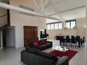 “Le Loft” Air-Conditioned Apartment with Private Terrace and Wi-Fi - Image 3