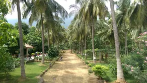 Mango Village Farm House - Image 5