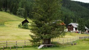 Ferienwohnung Hausbergland in Sankt Oswald - Image 4