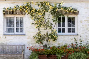 Cottage with garden - Image 4