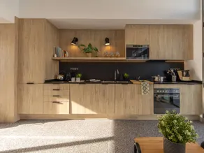 Family-oriented holiday home with BBQ, garden & terrace - Image 4