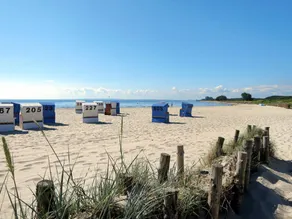 Holiday apartment | Sea view | Close to the beach | Dogs allowed - Image 5