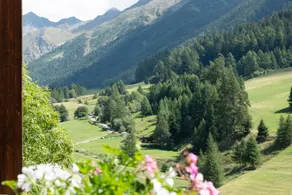 Apartment mit Grill und Terrasse | Bergblick - Image 3