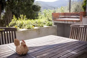 Appartement de vacances avec jardin - Image 3