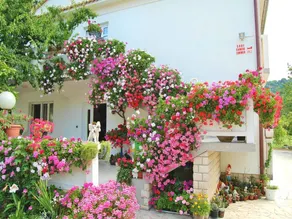 Apartment with garden & terrace - Image 3