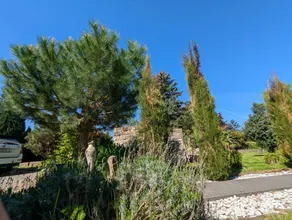 Ferienhaus Königsnase - Image 4