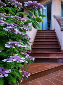Apartment with garden | Nature view - Image 2