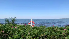Holiday home with garden, terrace & sauna | Close to the beach | Dogs allowed - Image 3