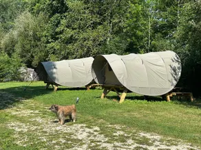 Wonderful tent with pool - Image 5