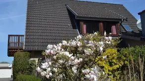 Studio Apartment 15 mit eigenem Bootssteg - Image 4