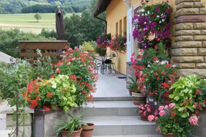Gîte les collines - Image 2