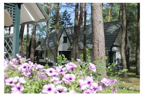Holiday home with terrace - Image 2