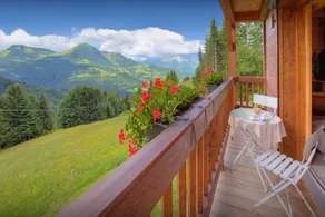 Espléndido chalet ideal para familias con barbacoa, jardín y terraza | Vistas al lago | Ideal para teletrabajar - Image 5