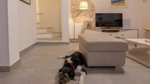 Meravigliosa casa totalmente attrezzata con piscina e barbecue | Accetta animali domestici - Image 2