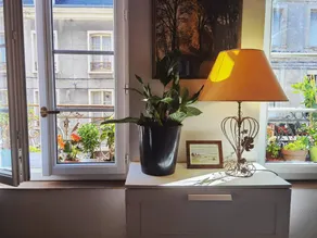 Children-friendly holiday apartment | City view | Dogs allowed - Image 5