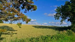 Charming holiday home with garden, BBQ & terrace | Next to the beach - Image 4
