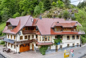 Apartment “Black Forest Home” with Great Comfort - Image 2