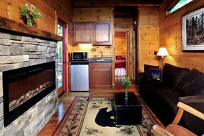 Tree House-Style Luxury Cabin in the Blue Ridge Mountains, North Carolina - Image 2