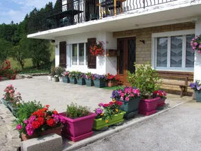 Flat with garden, barbeque & terrace | Garden view - Image 5