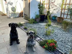 Fully equipped cottage with garden | Pets allowed - Image 2