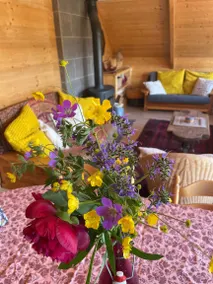 Chalet avec barbecue, terrasse et jardin | Vue jardin - Image 3