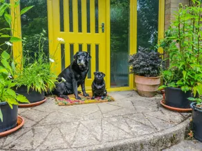 Fully equipped nice cottage with garden | Pets are welcome - Image 3