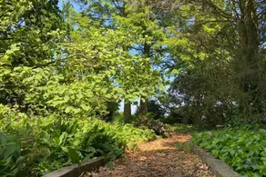 Maison de vacances avec jardin - Image 5