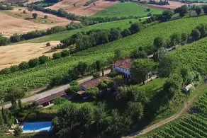 Vigna Sant Amico Country House - Image 3