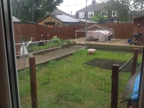 Chambre chez l'habitant avec jardin - Image 4