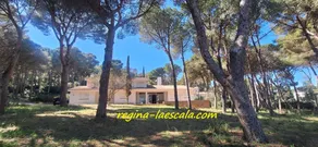Fully equipped holiday home with terrace | Close to the beach - Image 3