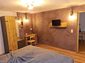 Apartment | Suitable for remote work - Image 3