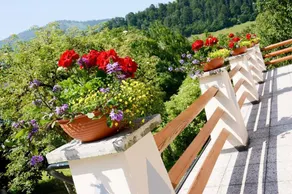 Apartment with terrace - Image 5